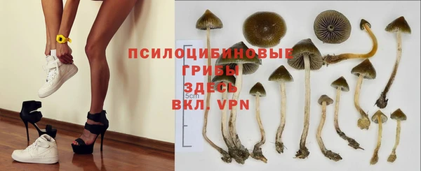 MDMA Козловка