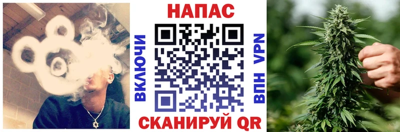 Купить где  Пудож  Каннабис конопля 